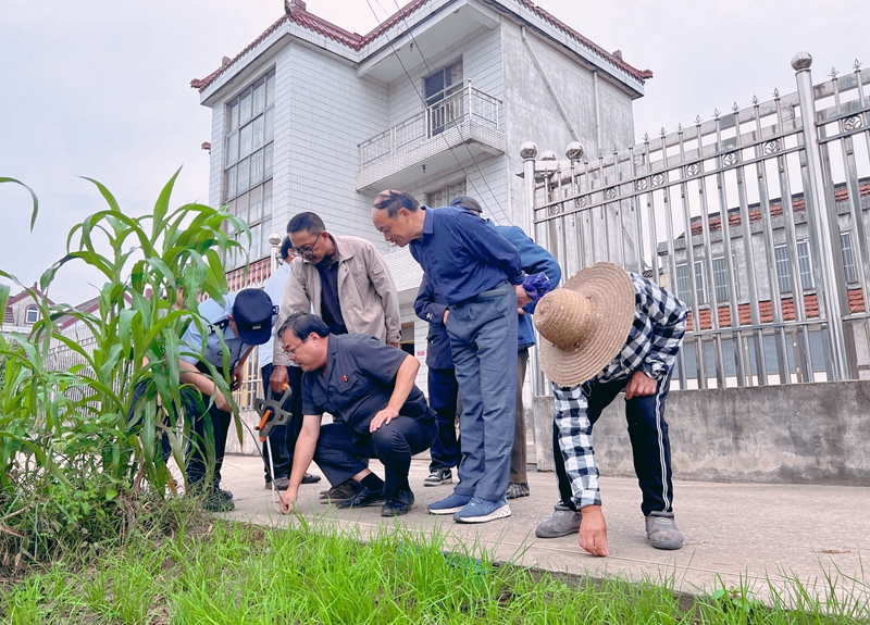 ②干警现场勘测土地边界.jpg