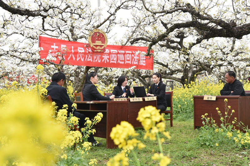 ④果品损坏纠纷案调解现场，法官对当事人释法析理。.jpg